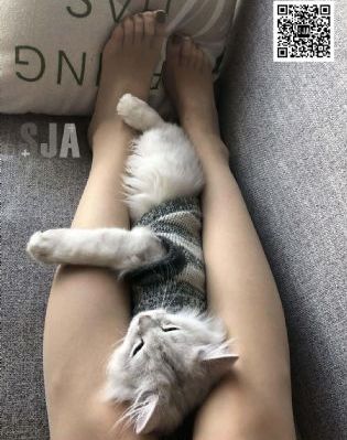 久久国际精品久久久_4K日韩电影在线